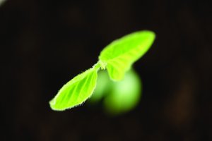 多维分析能否帮你的业务突围
